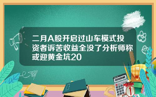 二月A股开启过山车模式投资者诉苦收益全没了分析师称或迎黄金坑20
