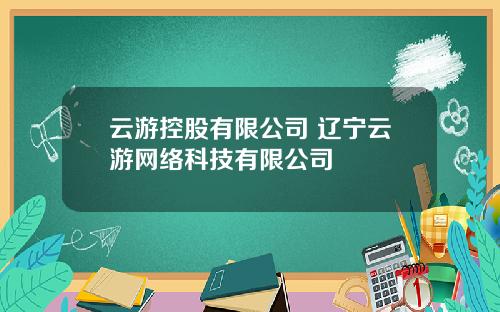 云游控股有限公司 辽宁云游网络科技有限公司