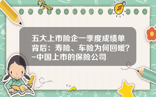 五大上市险企一季度成绩单背后：寿险、车险为何回暖？-中国上市的保险公司