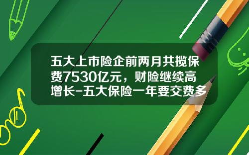 五大上市险企前两月共揽保费7530亿元，财险继续高增长-五大保险一年要交费多少