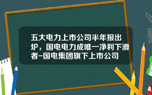 五大电力上市公司半年报出炉，国电电力成唯一净利下滑者-国电集团旗下上市公司
