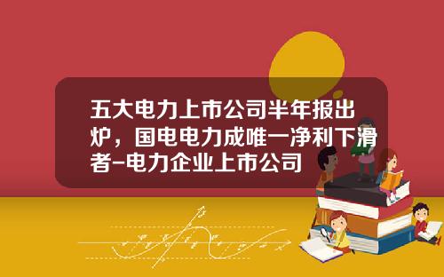 五大电力上市公司半年报出炉，国电电力成唯一净利下滑者-电力企业上市公司