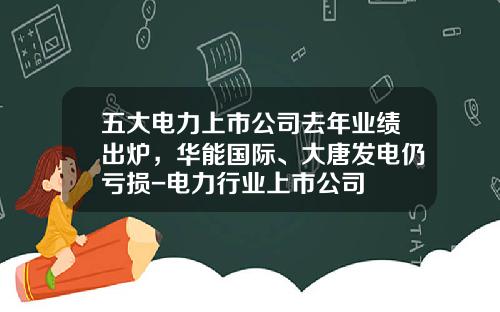五大电力上市公司去年业绩出炉，华能国际、大唐发电仍亏损-电力行业上市公司