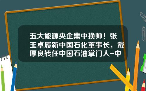 五大能源央企集中换帅！张玉卓履新中国石化董事长，戴厚良转任中国石油掌门人-中石化江苏公司总经理