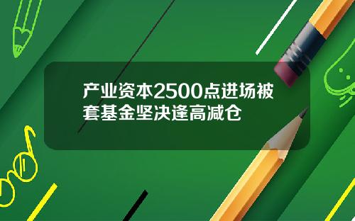 产业资本2500点进场被套基金坚决逢高减仓