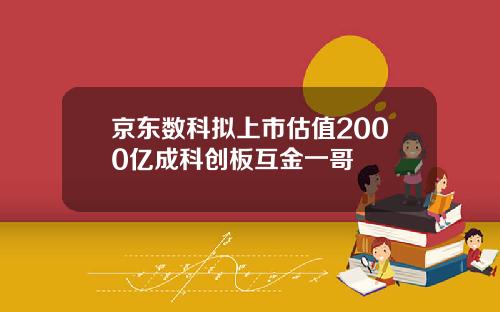 京东数科拟上市估值2000亿成科创板互金一哥