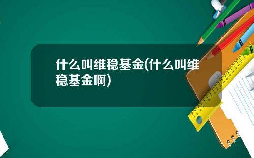 什么叫维稳基金(什么叫维稳基金啊)