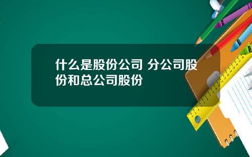 什么是股份公司 分公司股份和总公司股份