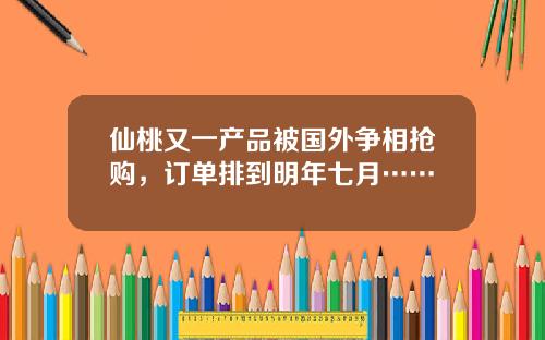 仙桃又一产品被国外争相抢购，订单排到明年七月……