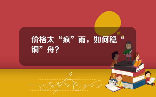 价格太“疯”雨，如何稳“铜”舟？