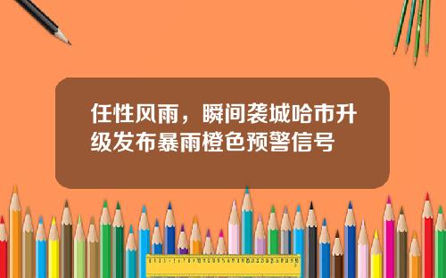任性风雨，瞬间袭城哈市升级发布暴雨橙色预警信号