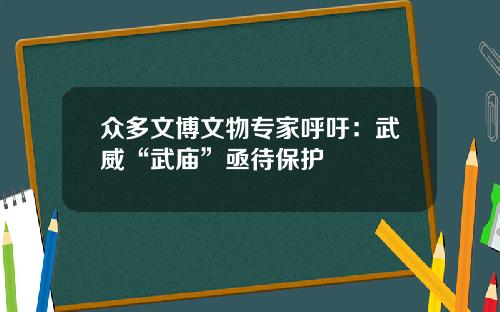 众多文博文物专家呼吁：武威“武庙”亟待保护