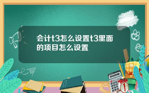 会计t3怎么设置t3里面的项目怎么设置