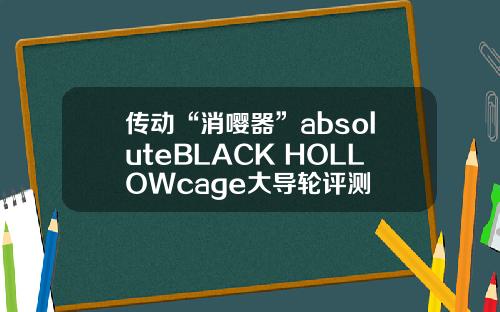 传动“消嘤器”absoluteBLACK HOLLOWcage大导轮评测