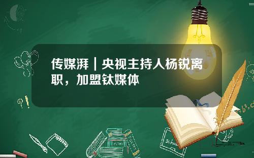 传媒湃｜央视主持人杨锐离职，加盟钛媒体