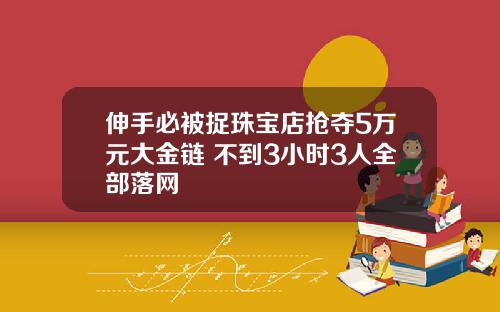 伸手必被捉珠宝店抢夺5万元大金链 不到3小时3人全部落网