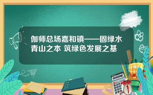 伽师总场嘉和镇——固绿水青山之本 筑绿色发展之基