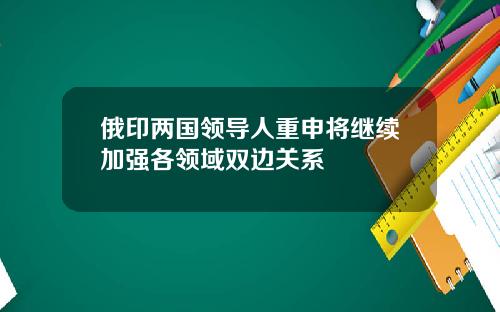 俄印两国领导人重申将继续加强各领域双边关系