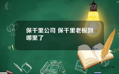 保千里公司 保千里老板到哪里了