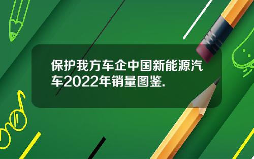 保护我方车企中国新能源汽车2022年销量图鉴.