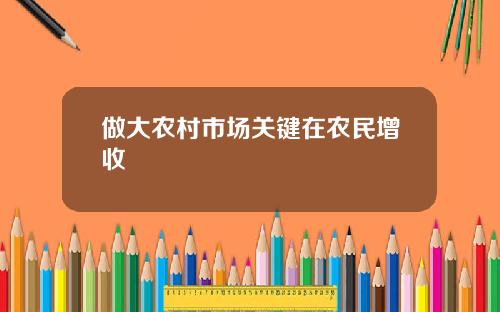 做大农村市场关键在农民增收