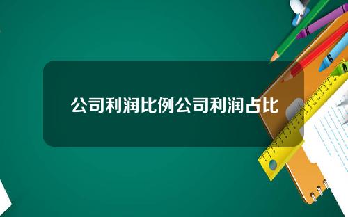 公司利润比例公司利润占比