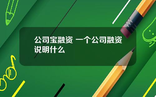 公司宝融资 一个公司融资说明什么