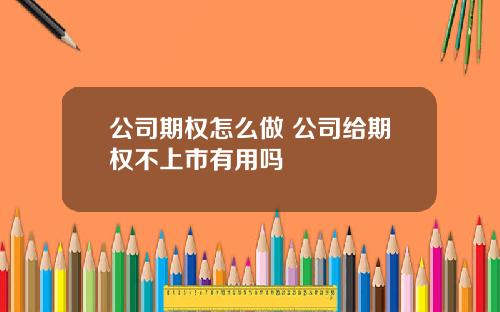 公司期权怎么做 公司给期权不上市有用吗