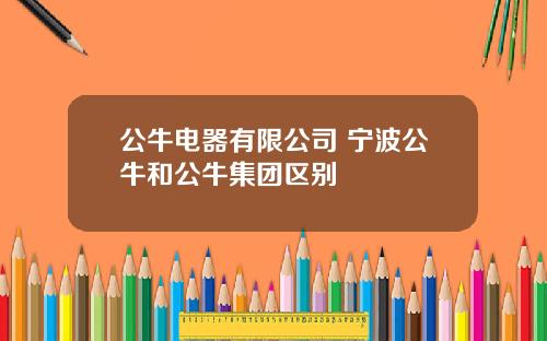 公牛电器有限公司 宁波公牛和公牛集团区别