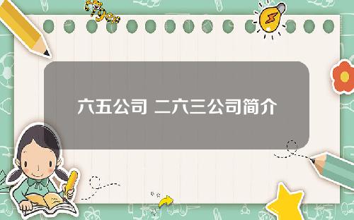 六五公司 二六三公司简介