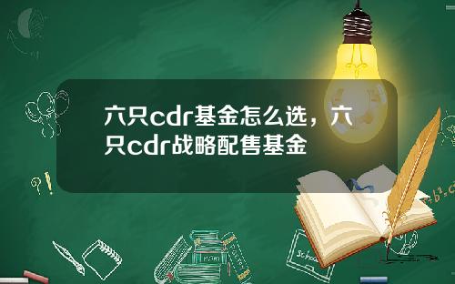 六只cdr基金怎么选，六只cdr战略配售基金