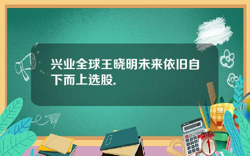 兴业全球王晓明未来依旧自下而上选股.