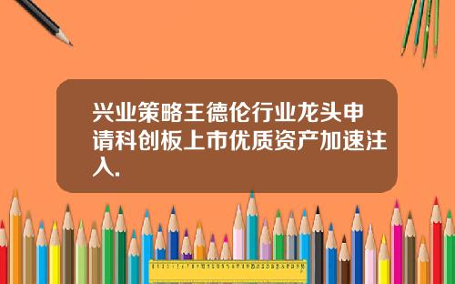 兴业策略王德伦行业龙头申请科创板上市优质资产加速注入.