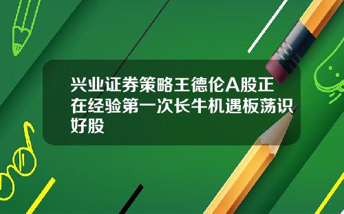 兴业证券策略王德伦A股正在经验第一次长牛机遇板荡识好股