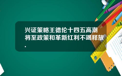 兴证策略王德伦十四五高潮将至政策和革新红利不竭释放.