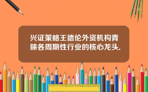 兴证策略王德伦外资机构青睐各周期性行业的核心龙头.