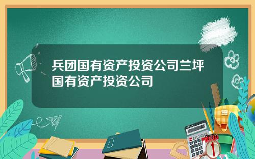 兵团国有资产投资公司兰坪国有资产投资公司
