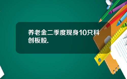 养老金二季度现身10只科创板股.