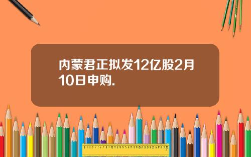 内蒙君正拟发12亿股2月10日申购.