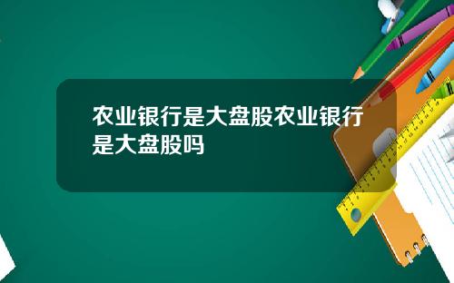 农业银行是大盘股农业银行是大盘股吗