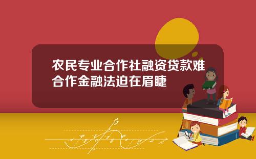 农民专业合作社融资贷款难合作金融法迫在眉睫