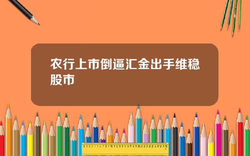 农行上市倒逼汇金出手维稳股市