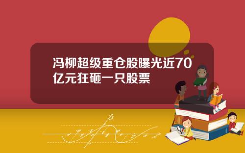 冯柳超级重仓股曝光近70亿元狂砸一只股票