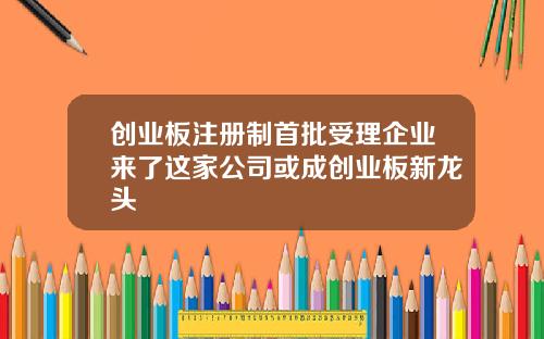 创业板注册制首批受理企业来了这家公司或成创业板新龙头