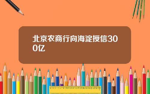 北京农商行向海淀授信300亿