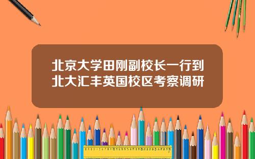 北京大学田刚副校长一行到北大汇丰英国校区考察调研