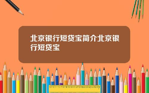 北京银行短贷宝简介北京银行短贷宝