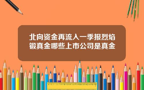 北向资金再流入一季报烈焰锻真金哪些上市公司是真金