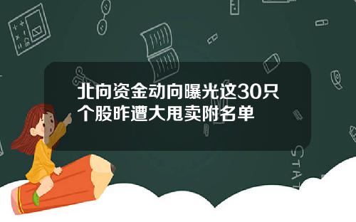 北向资金动向曝光这30只个股昨遭大甩卖附名单