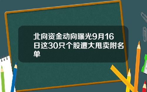 北向资金动向曝光9月16日这30只个股遭大甩卖附名单